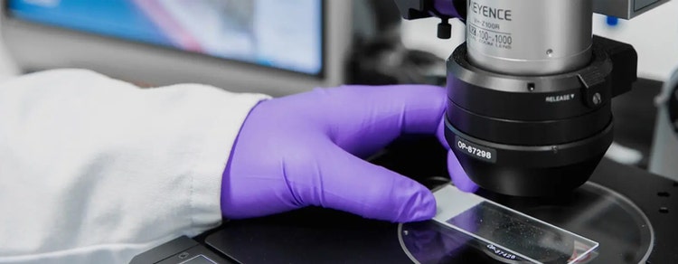 Preformulation Services