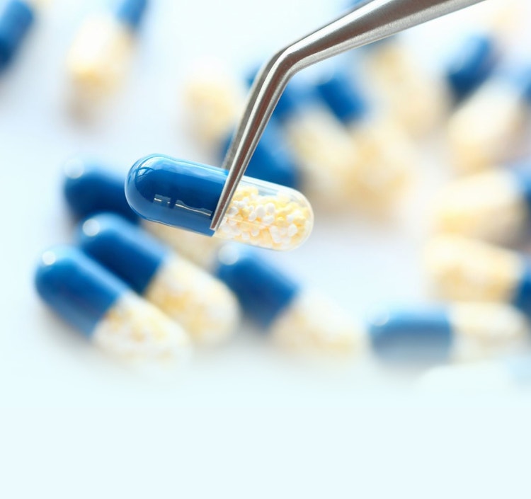 Potent Processing and Manufacture Brochure