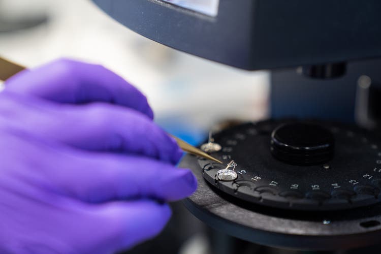 Pre-formulation, Formulation & Process Development, GMP Manufacture