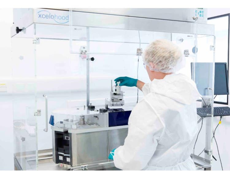 GMP Pharmaceutical Development